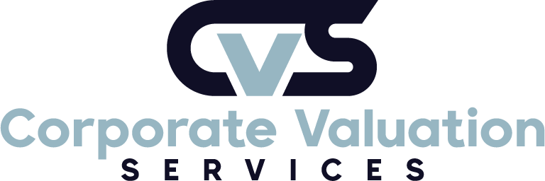 Corporate VAluation Services Inc logo